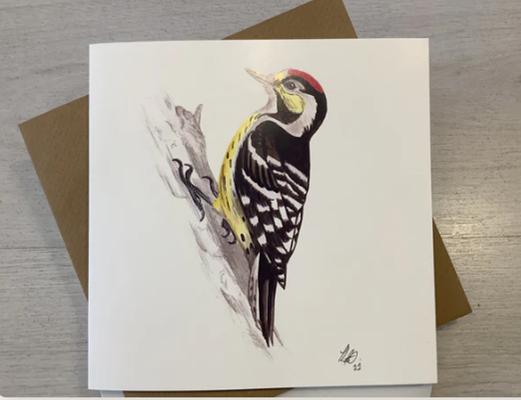 Lesser Spotted Woodpecker Card