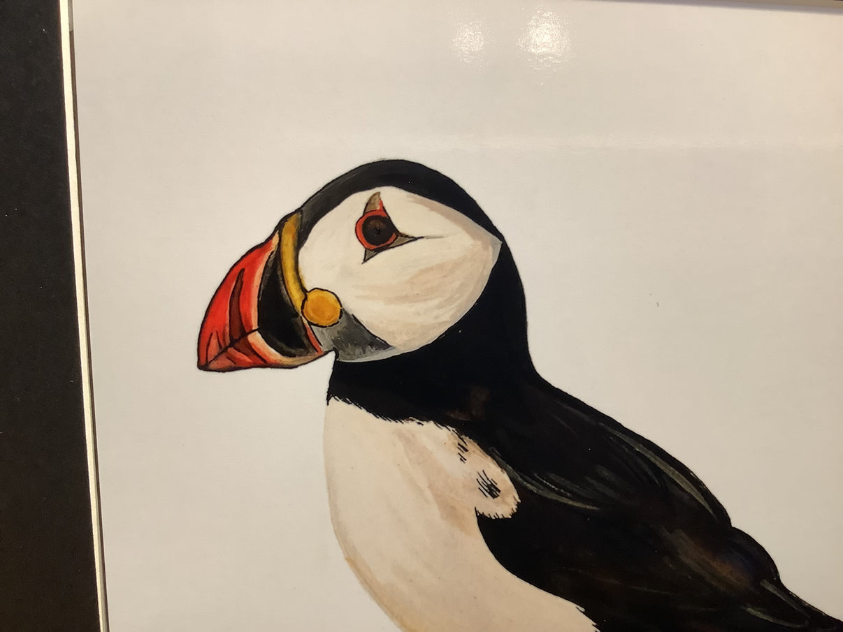 Puffin Print