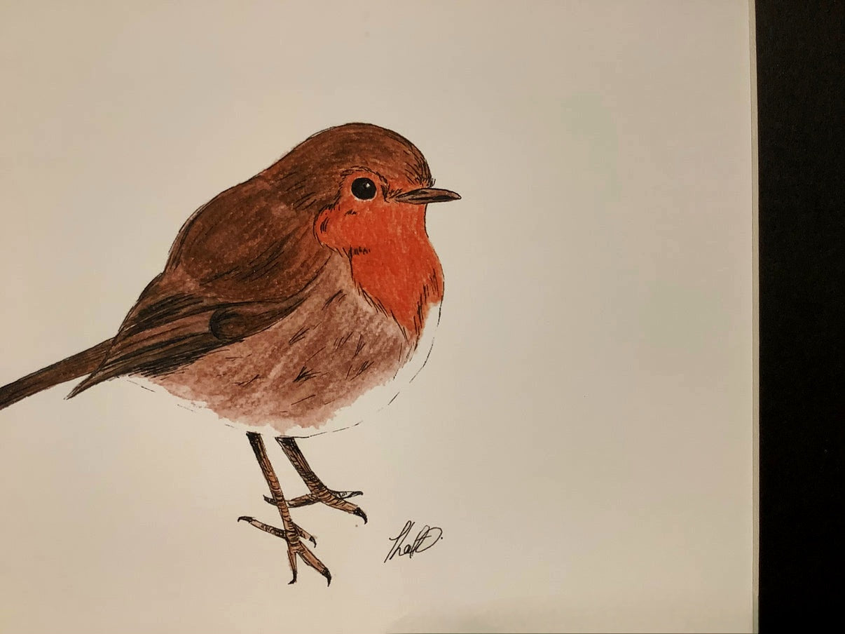 Robin Print