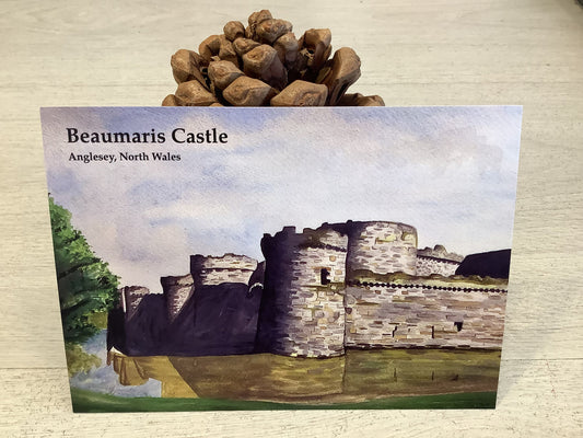 Beaumaris Castle Postcard 1