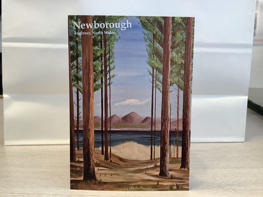 Newborough Forest Postcard