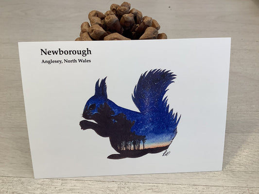 Stargazing Newborough Squirrel Postcard