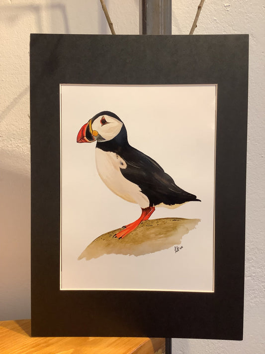 Puffin Print