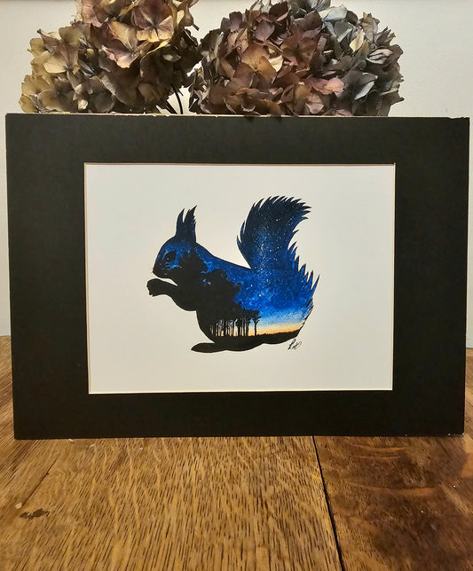 Stargazing Newborough Squirrel Print
