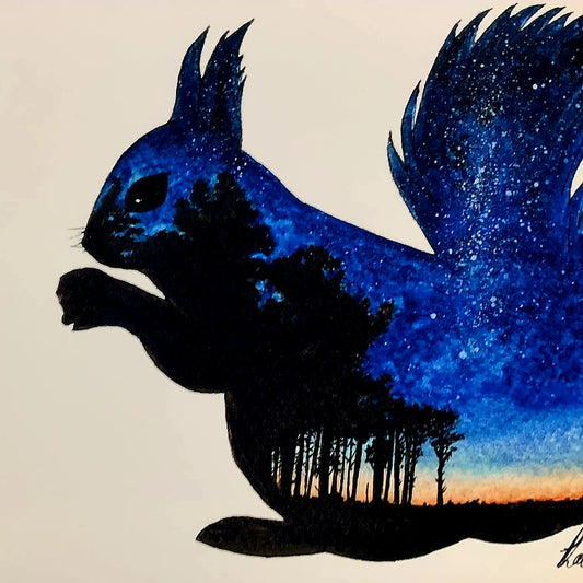 Stargazing Newborough Squirrel Print