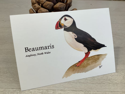 Puffin Postcard